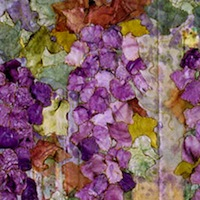 Painted Silk